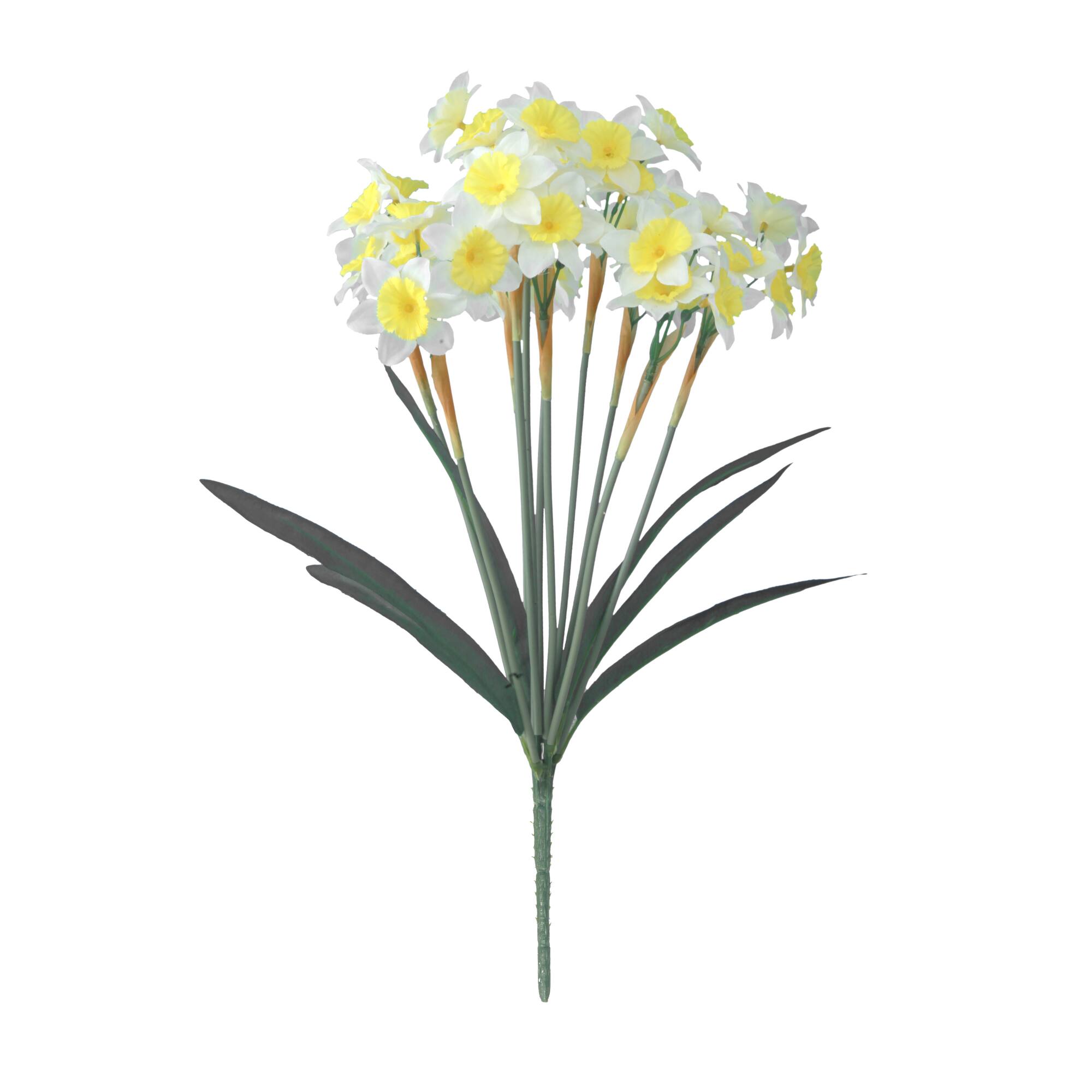 19" Narcissus Bush by Ashland